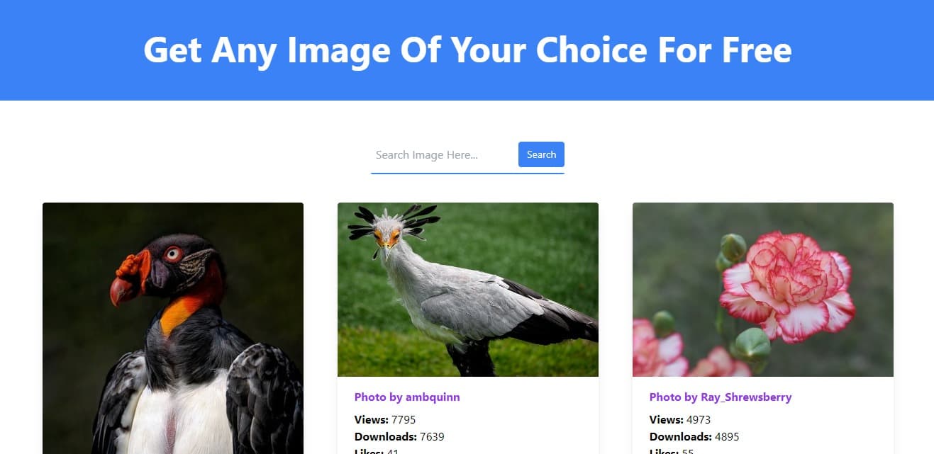 Image Gallery